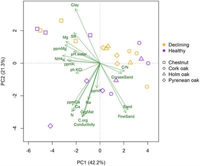 Rhizosphere mycobiome diversity in four declining Mediterranean tree species